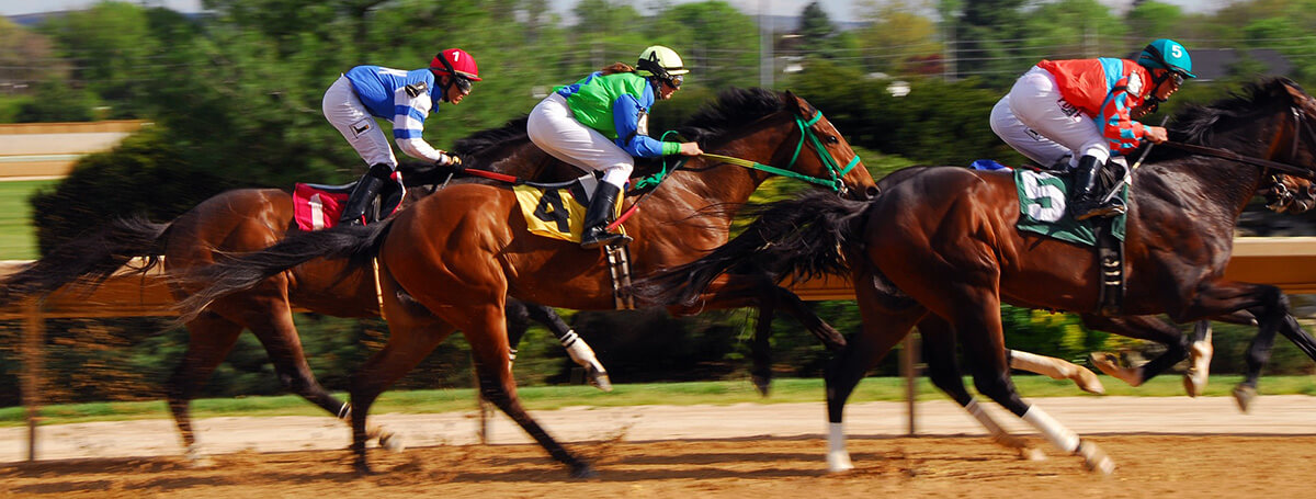 Melbourne Cup Catering