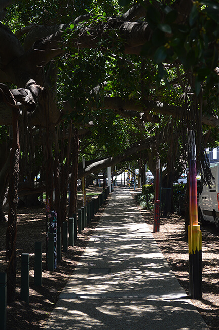 Take a Stroll Down Memorial Park - Then Come for a Bulimba Breakfast at Willes Cafe